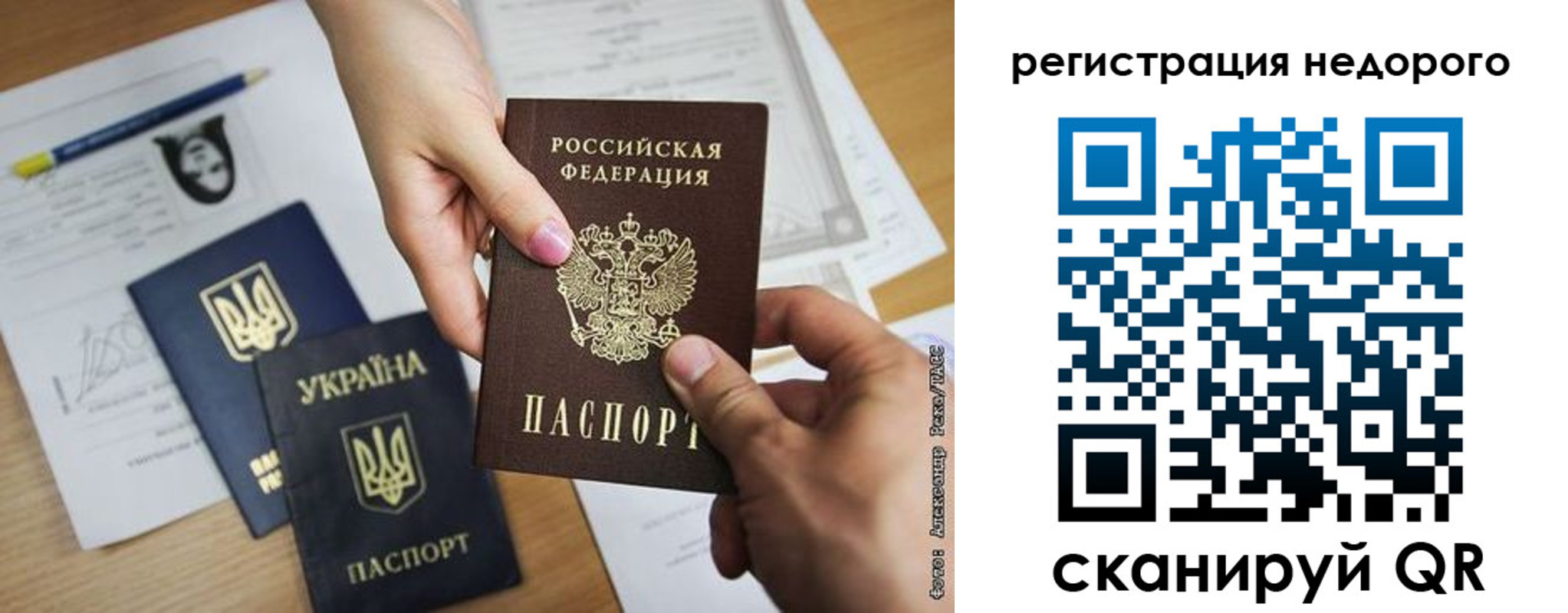прописка в Невеле